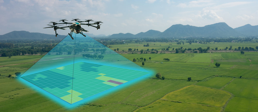 Crop Health Monitoring