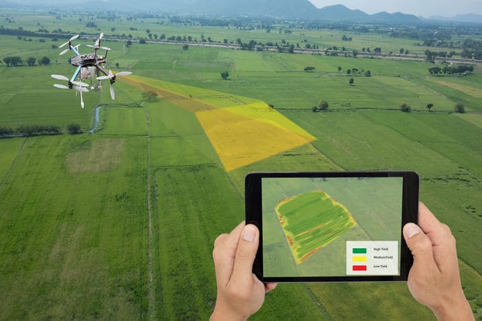 Field Mapping & Surveying