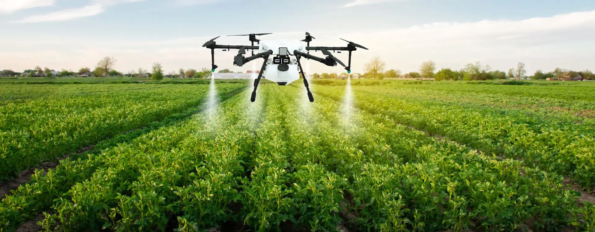 Smart Irrigation Management
