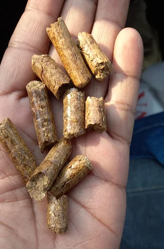 12 Mm Groundnut Biomass Pellet