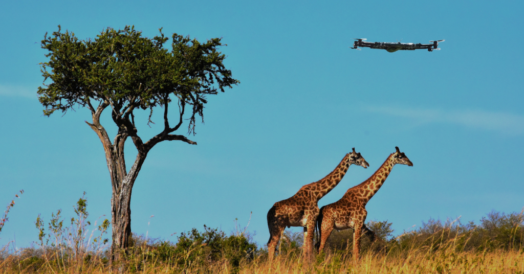 Wildlife Tracking
