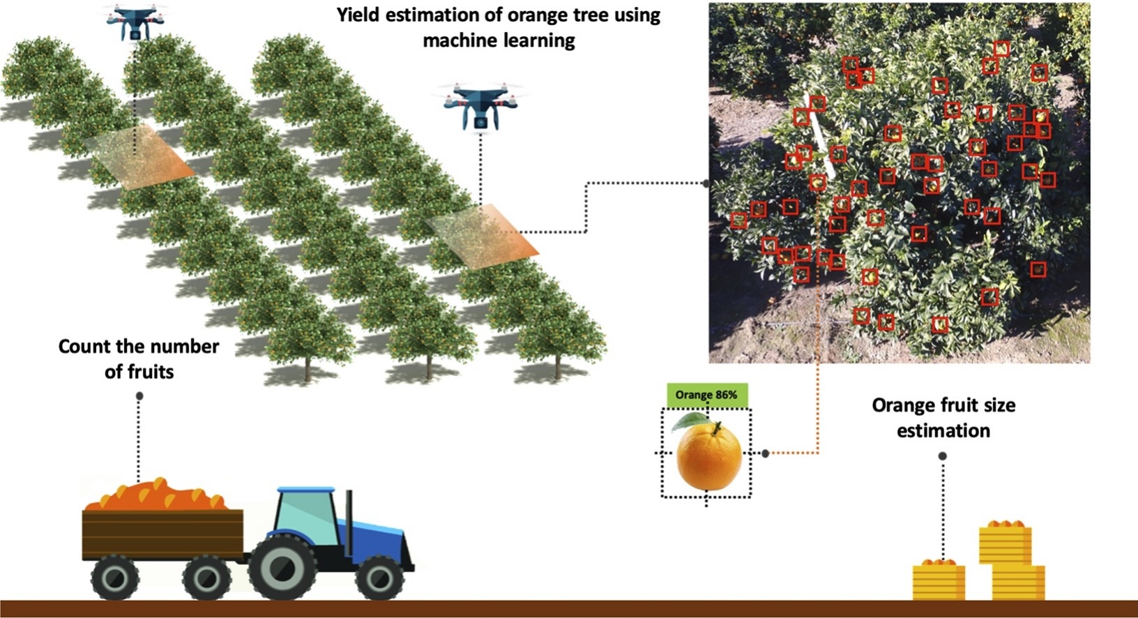 Crop Yield Forecasting